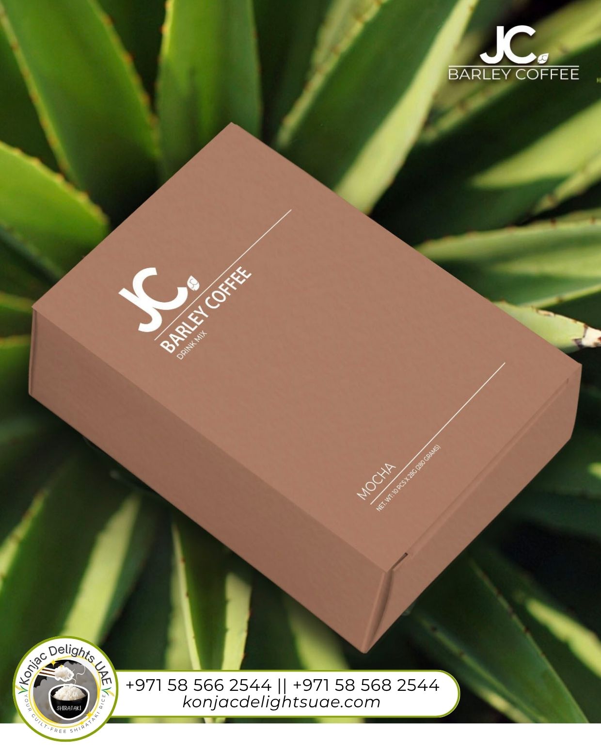 JC Barley Coffee Mocha ( 1x10 sticks )